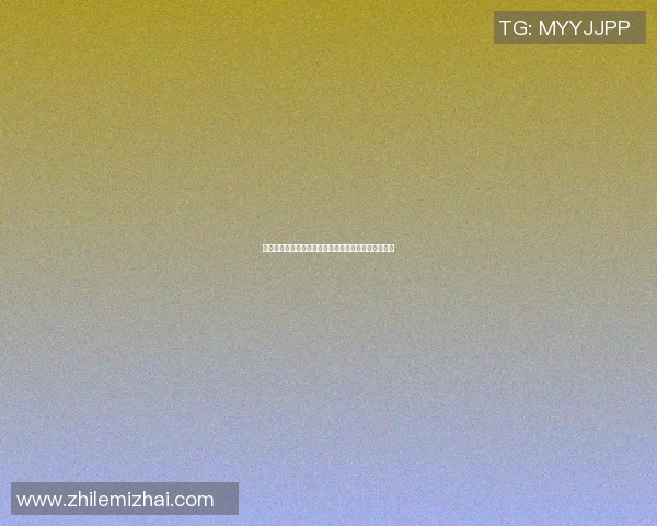 篮球明星的助理如何在幕后默默支持他们的辉煌与成就